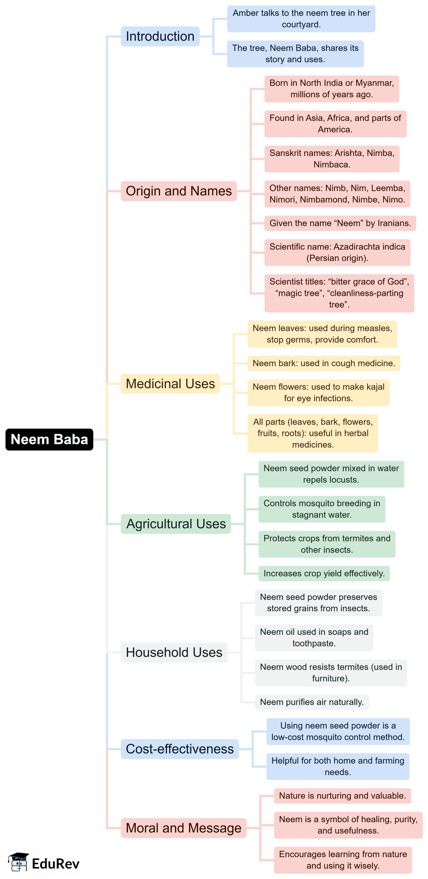 Mindmap: Neem Baba | English for Class 6