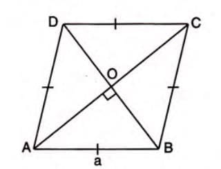 4. Rhombus