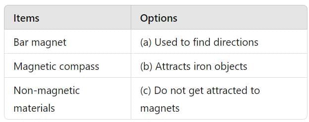 Unit Test: Exploring Magnets | Science for Class 6