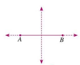 Symmetry, Reflection, and Rotation Chapter Notes | Mathematics Class 7 ICSE