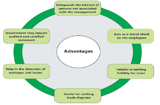 Nature, Objective and Scope of Audit: Notes - CA Intermediate