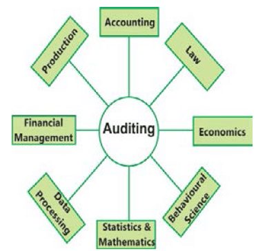 Nature, Objective and Scope of Audit: Notes - CA Intermediate