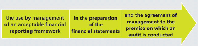 Nature, Objective and Scope of Audit: Notes - CA Intermediate