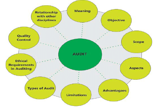 Nature, Objective and Scope of Audit: Notes - CA Intermediate