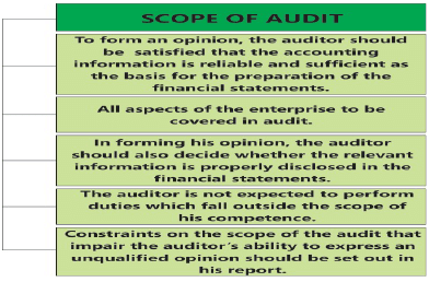 Nature, Objective and Scope of Audit: Notes - CA Intermediate