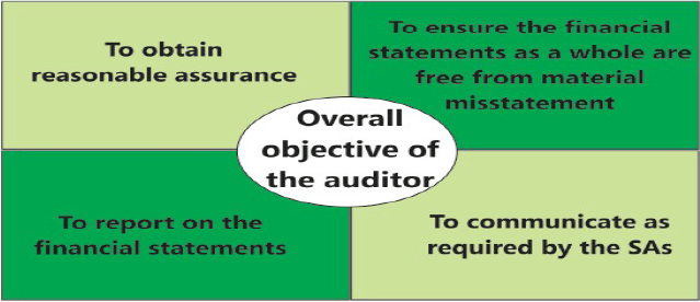 Nature, Objective and Scope of Audit: Notes - CA Intermediate