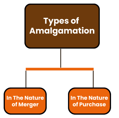 AS 14: Accounting For Amalgamations | Advanced Accounting for CA Intermediate
