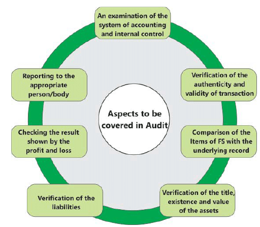 Nature, Objective and Scope of Audit: Notes - CA Intermediate