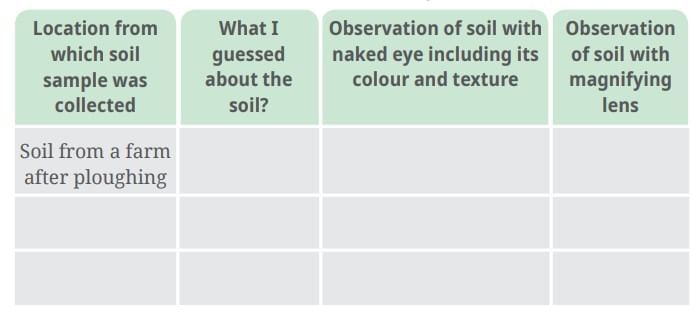 NCERT Based Activity: Nature`s Treasures | Science for Class 6