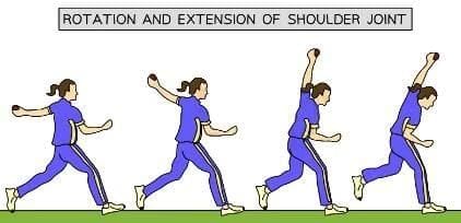 Cricket Bowling Movement Diagram