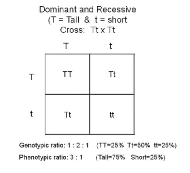 Previous Year Questions 2025