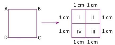 Perimeter and Area Chapter Notes | Year 3 Mathematics IGCSE (Cambridge) - Class 3