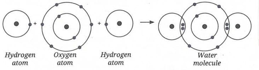 B. Molecules of Compounds