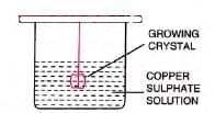 Water Chapter Notes | Chemistry for SSS 1