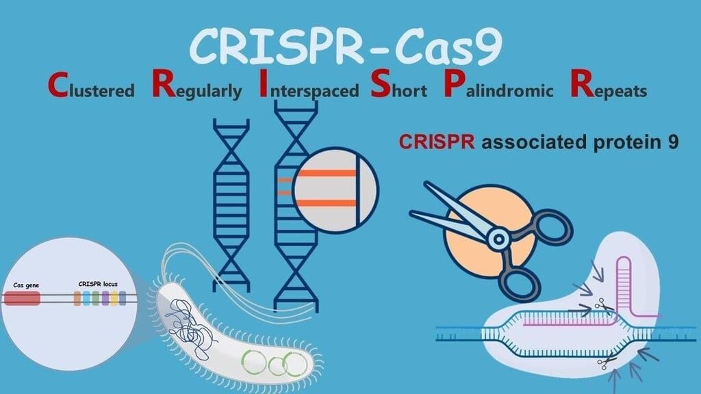 Synthetic Biology & CRISPR (Gene Editing Revolution) | Science & Technology for State PSC Exams - BPSC (Bihar)