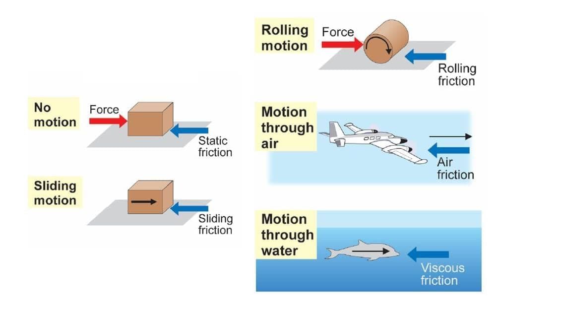 Exploring Forces Chapter Notes | Chapter Notes For Class 8