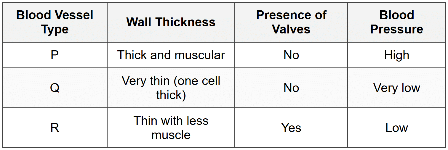 Section D: Structured and Open-Ended Questions (Q14-20)