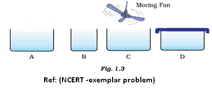                                                                                     Short Answer Type Questions - part -2