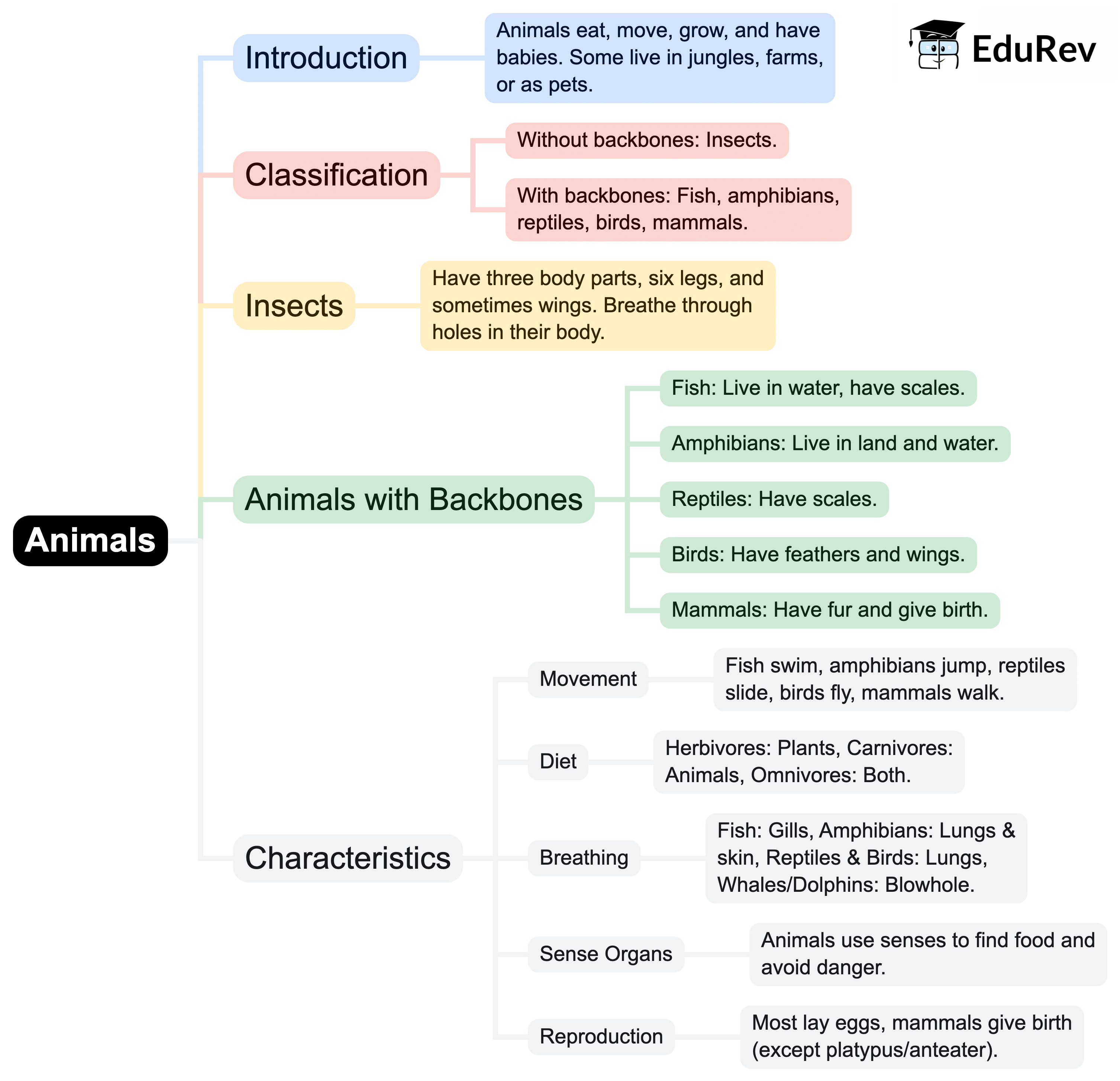 Mind Map: Animals: Feeding Habits | Science for Class 3