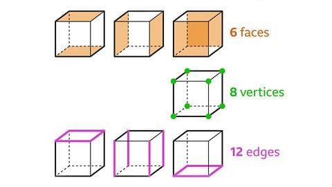 Properties of 3D Shapes - Year 7