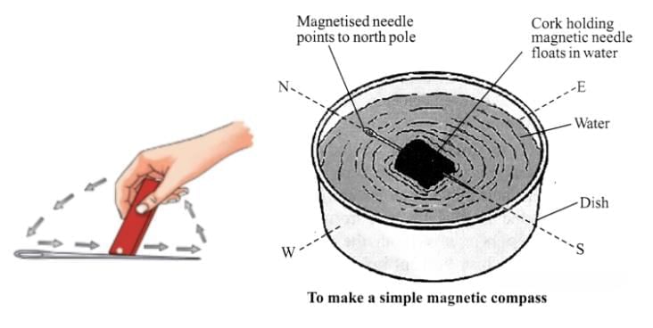 NCERT Summary: Exploring Magnets | Science for Class 6