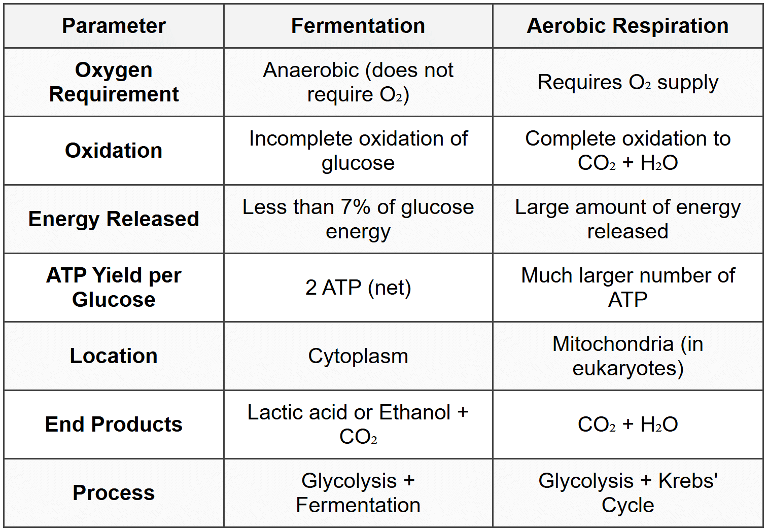 5. Comparison: Fermentation vs Aerobic Respiration