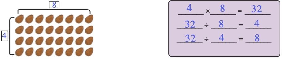 Coconut Farm Chapter Notes | Mathematics (Maths Mela) Class 5 - New NCERT