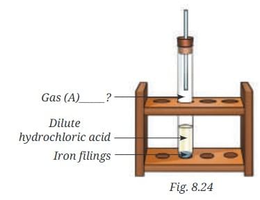 Nature of Matter: Elements, Compounds, and Mixtures NCERT Solutions | Science Curiosity Class 8 -  New NCERT