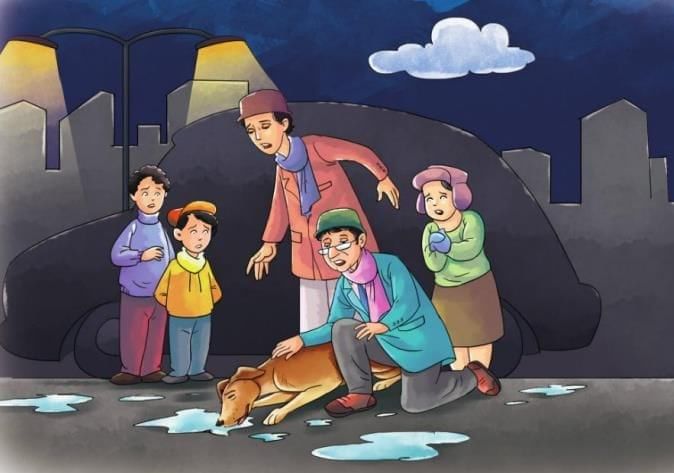 The Vet`s Greatest Reward Chapter Notes | English Class 3 ICSE