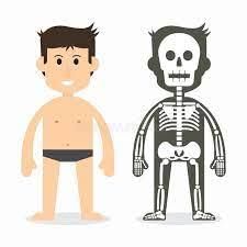 Worksheet: Skeletal & Muscular System - 2 | Science Class 5