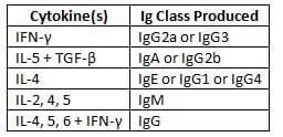 Structure of Immune System and Immune Response Chapter Notes | Microbiology - NEET PG
