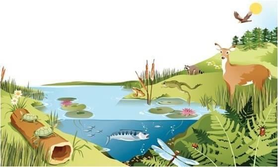 Cheat Sheet: Our Environment | Science Class 10