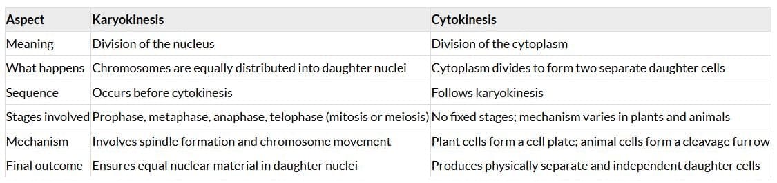 NCERT Solutions: Cell Cycle & Cell Division