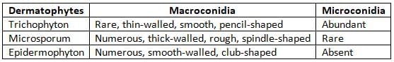 Mycology Chapter Notes | Microbiology - NEET PG