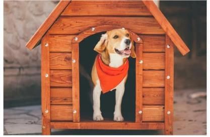 Animals- Food and Shelter - 1 Class 1 Worksheet Science