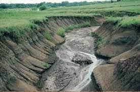 Soil Erosion And Conservation - 2 Class 5 Worksheet Science