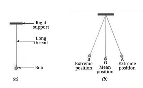 Unit Test Solutions: Measurement of Time and Motion | Science (Curiosity) Class 7 - New NCERT