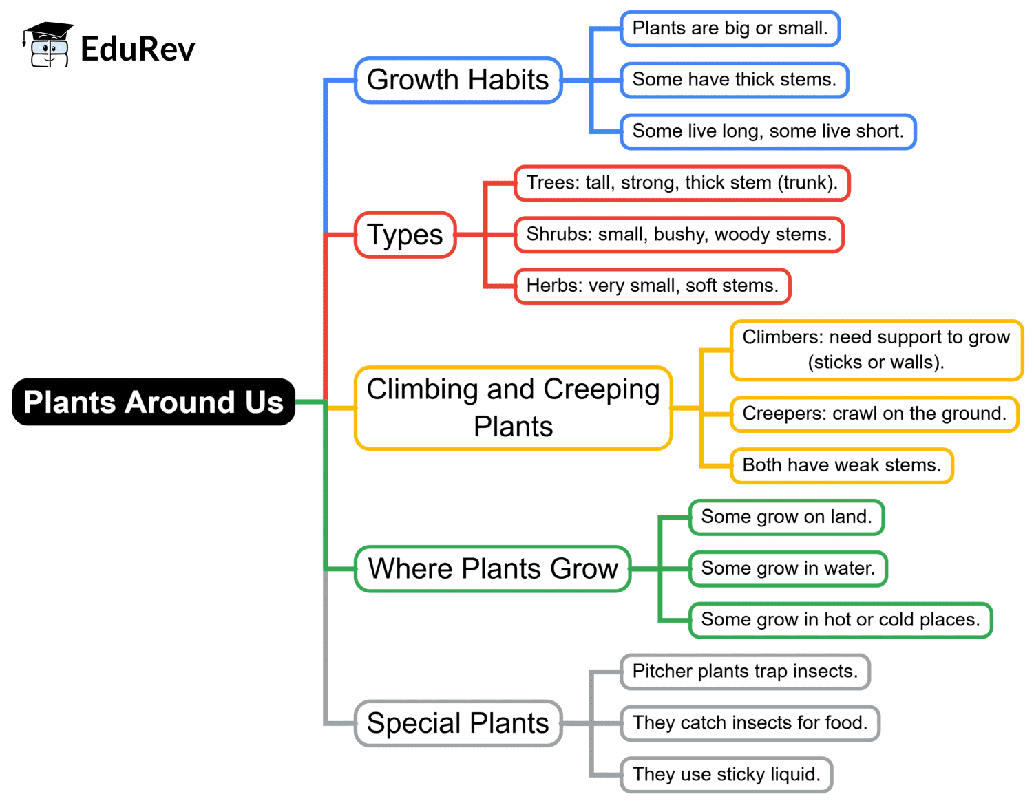 Mind Map: Plants Around Us | EVS for Class 1
