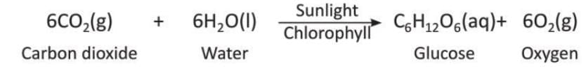 Chemical Reactions Chapter Notes | Chemistry Class 8 ICSE