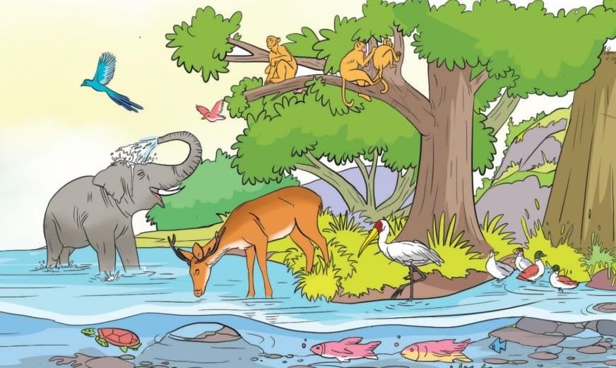Worksheet: Water - The Essence of Life | Our Wondrous World  Class 5 - New NCERT