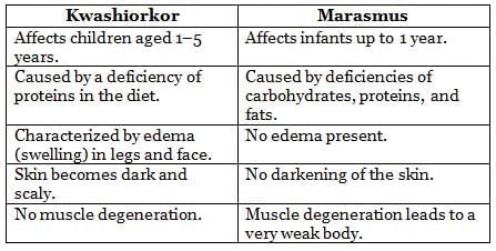 Nutrition Chapter Notes | Biology Class 9 ICSE