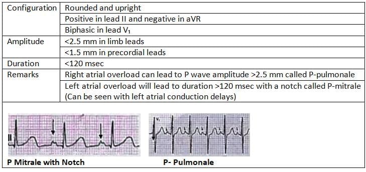 Cardiology Chapter Notes | Medicine - NEET PG