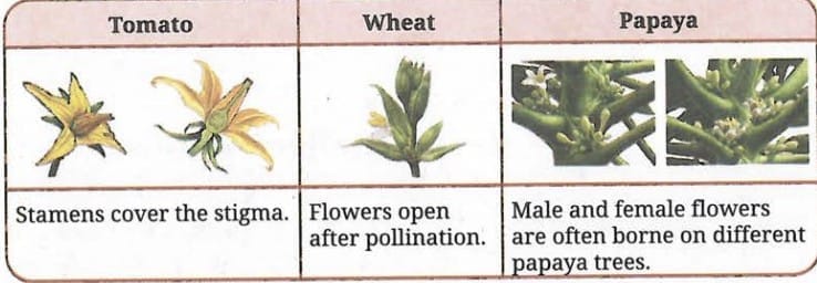 Revise, Reflect, Refine 