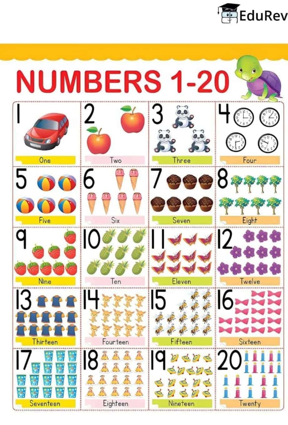 Infographics: Numbers Up to 20