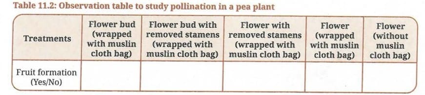 Activity 11.6 : Let us investigate