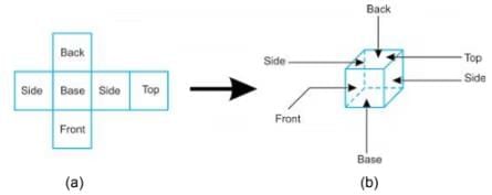 Three Dimensional Shapes Chapter Notes | Mathematics Class 6 (SSC Board)