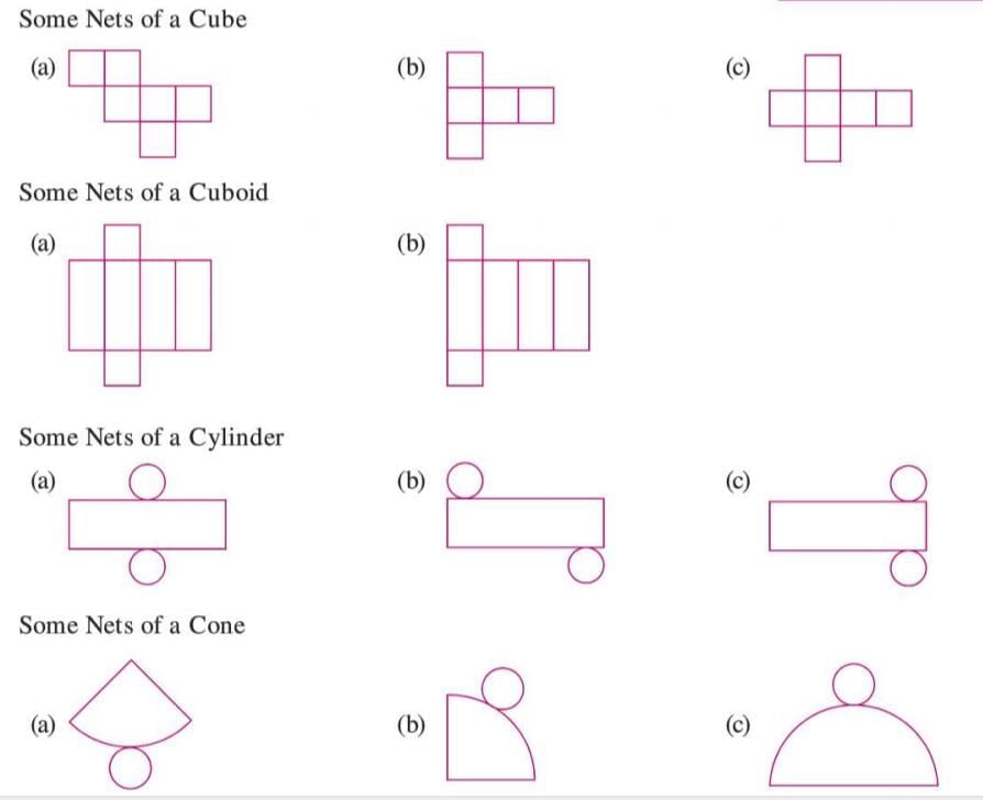 Visualizing Solid Shapes Chapter Notes | Mathematics Class 7 ICSE