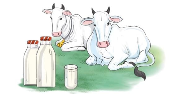 Let us explore (Page 96)