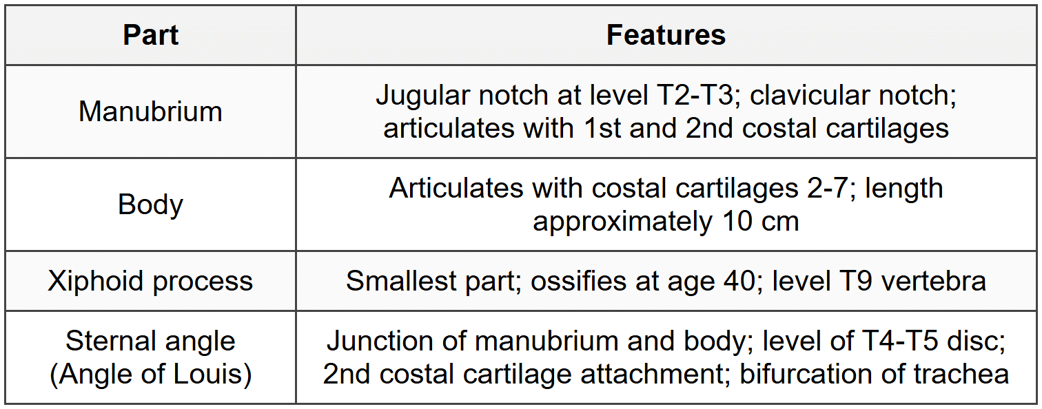 1.2 Sternum