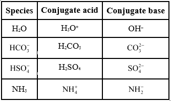 NCERT Solutions Class 11 Chemistry Chapter 6 - Equilibrium